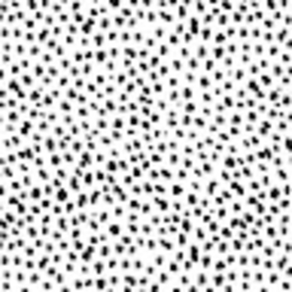 Meet your Posher, Meg - Picture 1 of 1